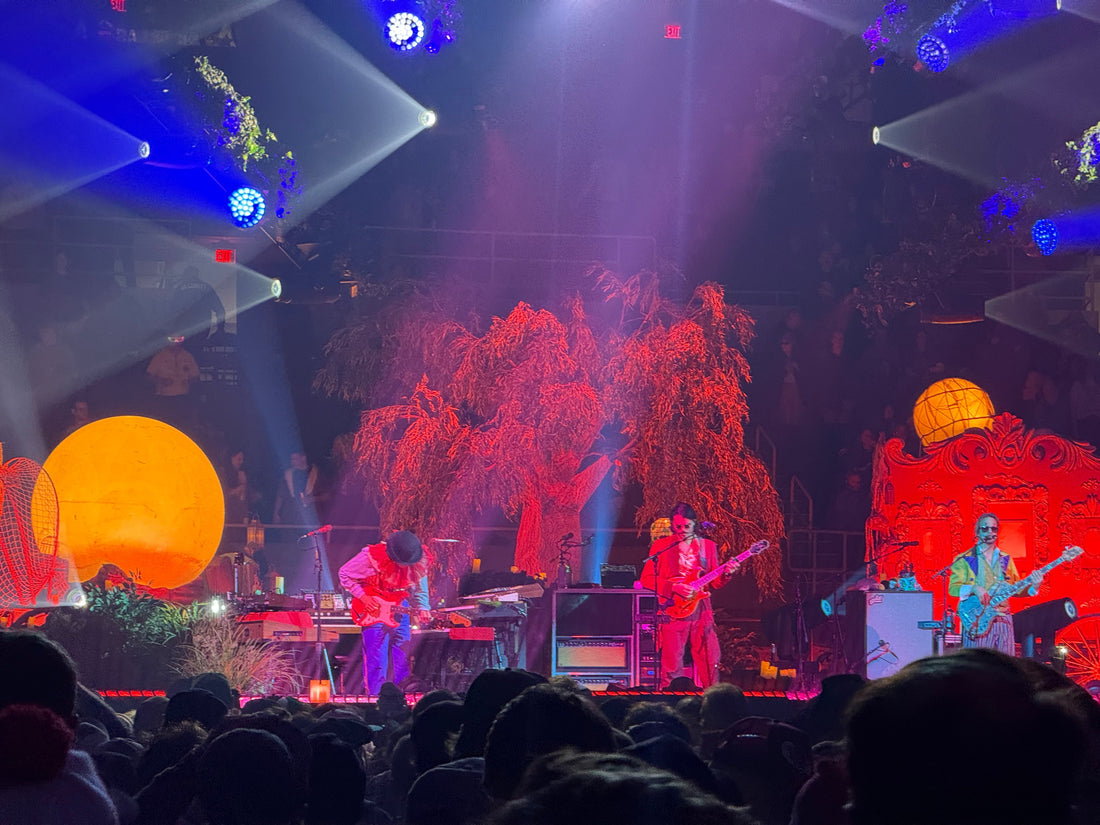 Clear Poster Tube for Goose Tour Posters: The No-Stress Way to Get Prints Home